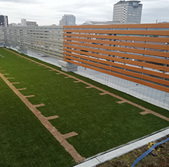 デザインバリエーション