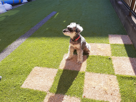 DIYでも人工芝が敷ける？