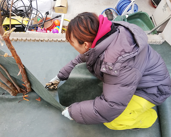 防草シートを敷きます。