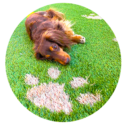 deco1_雑草の生えない効果が格段に高い