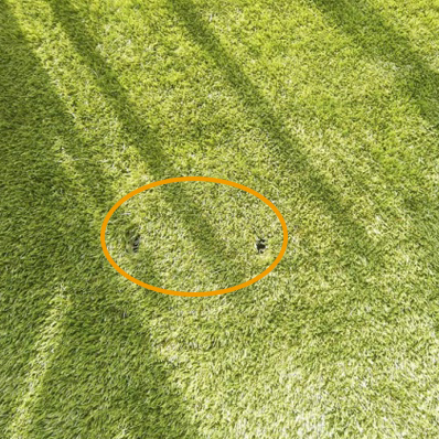 マンホール隠し