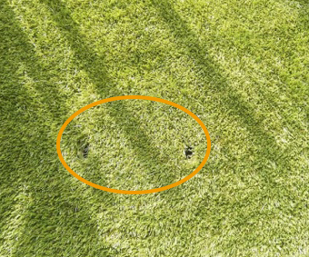 マンホール隠し