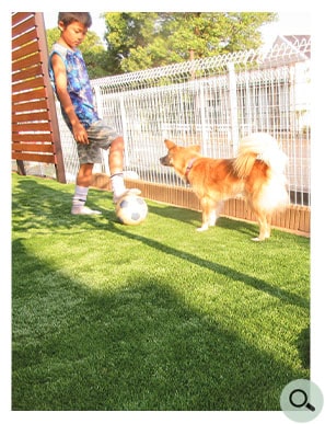 数字で見るお客様の生の声