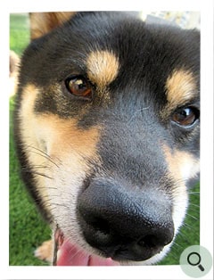 数字で見るお客様の生の声