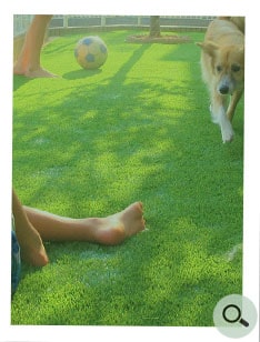 数字で見るお客様の生の声